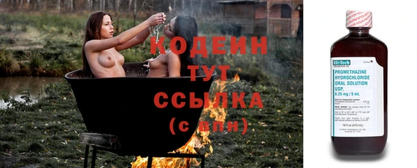 трава Богородицк