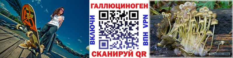 даркнет сайт  Михайловка  Галлюциногенные грибы прущие грибы 
